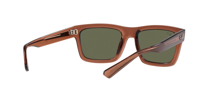 Ray-Ban Warren Sunglasses RB4396 66789A