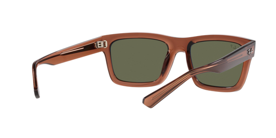 Ray-Ban Warren Sunglasses RB4396 66789A