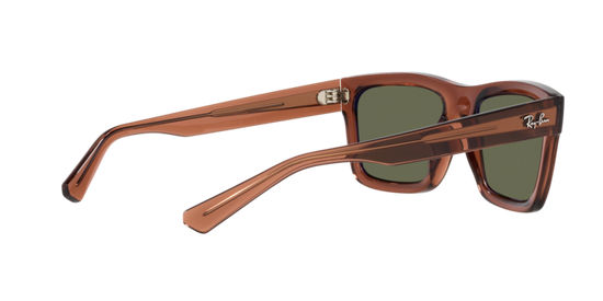 Ray-Ban Warren Sunglasses RB4396 66789A