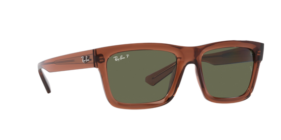 Ray-Ban Warren Sunglasses RB4396 66789A