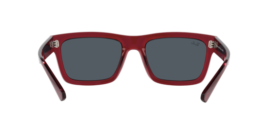 Ray-Ban Warren Sunglasses RB4396 667987