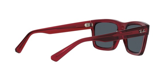 Ray-Ban Warren Sunglasses RB4396 667987