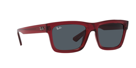 Ray-Ban Warren Sunglasses RB4396 667987