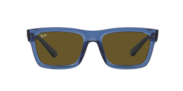 Ray-Ban Warren RB4396 668073