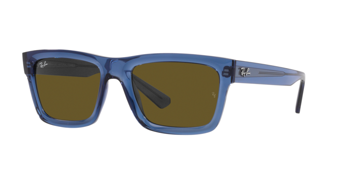 Ray-Ban Warren Sunglasses RB4396 668073