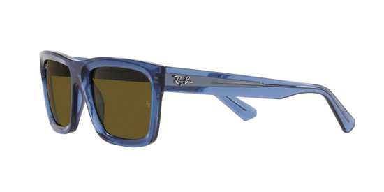 Ray-Ban Warren Sunglasses RB4396 668073