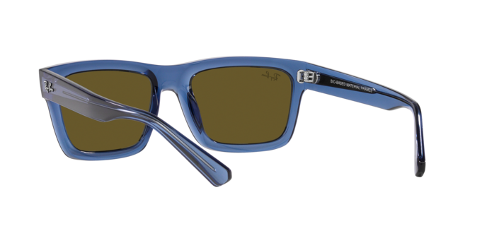 Ray-Ban Warren Sunglasses RB4396 668073