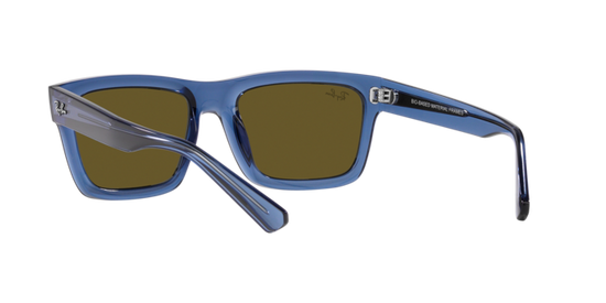 Ray-Ban Warren Sunglasses RB4396 668073