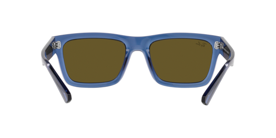 Ray-Ban Warren Sunglasses RB4396 668073