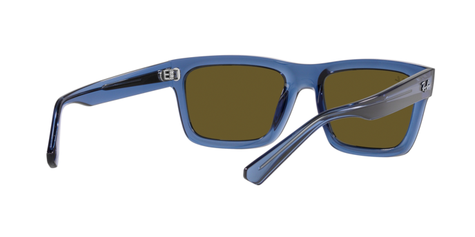 Ray-Ban Warren Sunglasses RB4396 668073