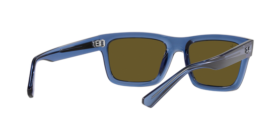 Ray-Ban Warren Sunglasses RB4396 668073