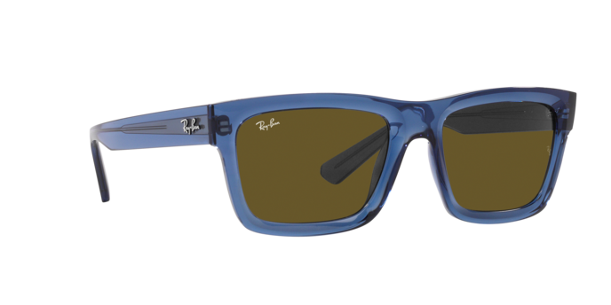 Ray-Ban Warren Sunglasses RB4396 668073