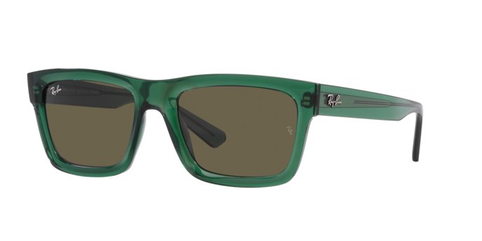 Ray-Ban Warren Sunglasses RB4396 6681/3