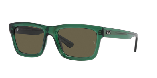 Ray-Ban Warren Sunglasses RB4396 6681/3