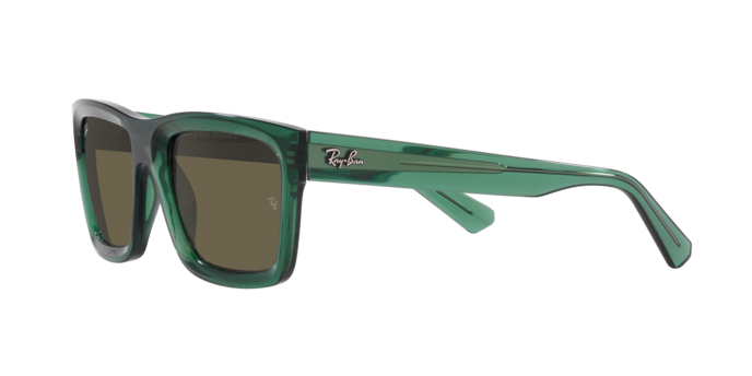 Ray-Ban Warren Sunglasses RB4396 6681/3