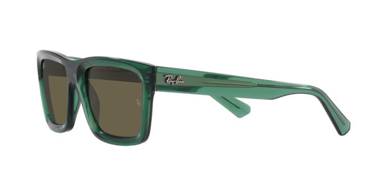 Ray-Ban Warren Sunglasses RB4396 6681/3