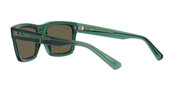 Ray-Ban Warren Sunglasses RB4396 6681/3