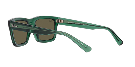 Ray-Ban Warren Sunglasses RB4396 6681/3