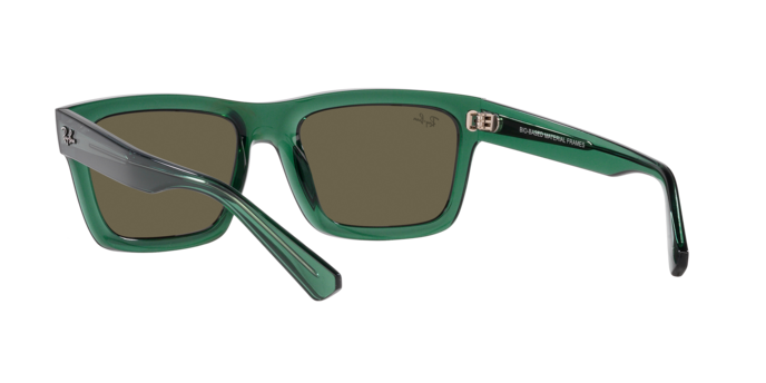 Ray-Ban Warren Sunglasses RB4396 6681/3