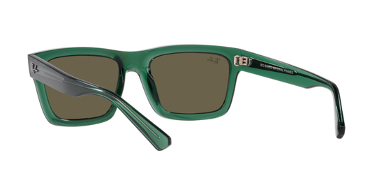 Ray-Ban Warren Sunglasses RB4396 6681/3