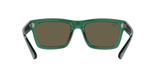 Ray-Ban Warren Sunglasses RB4396 6681/3