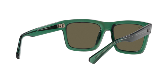 Ray-Ban Warren Sunglasses RB4396 6681/3