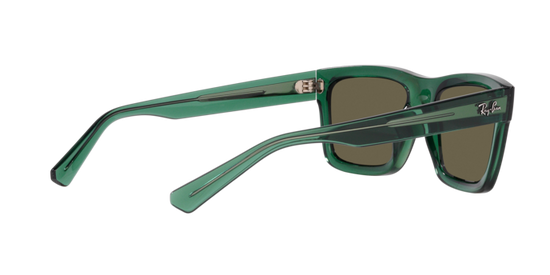 Ray-Ban Warren Sunglasses RB4396 6681/3