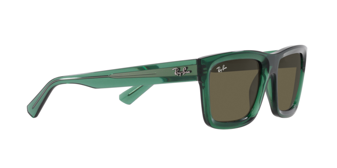 Ray-Ban Warren Sunglasses RB4396 6681/3