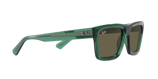 Ray-Ban Warren Sunglasses RB4396 6681/3