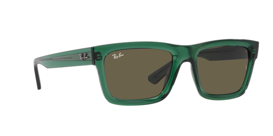 Ray-Ban Warren Sunglasses RB4396 6681/3