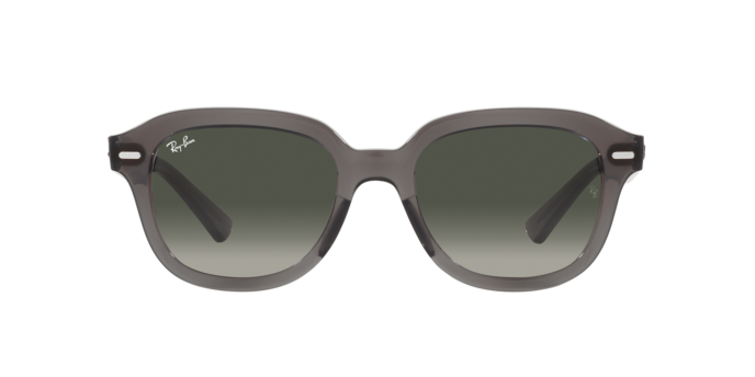 Ray-Ban Erik Sunglasses RB4398 667571