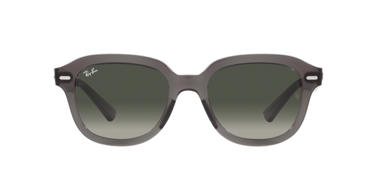 Ray-Ban Erik Sunglasses RB4398 667571