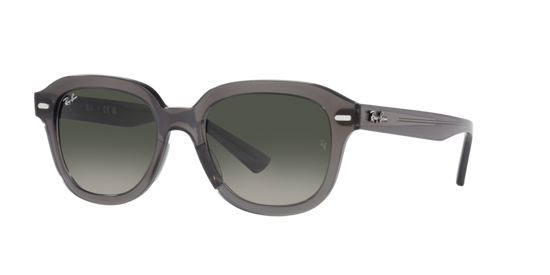 Ray-Ban Erik Sunglasses RB4398 667571