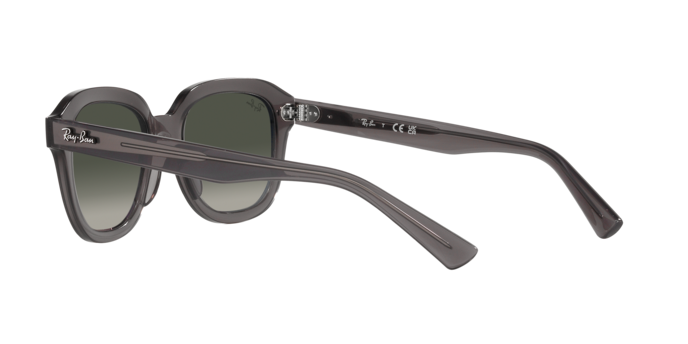 Ray-Ban Erik Sunglasses RB4398 667571