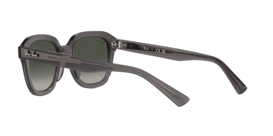 Ray-Ban Erik Sunglasses RB4398 667571