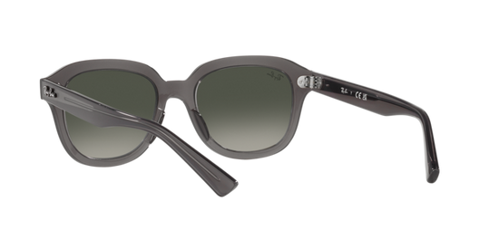 Ray-Ban Erik Sunglasses RB4398 667571