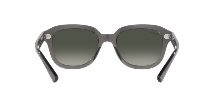 Ray-Ban Erik Sunglasses RB4398 667571