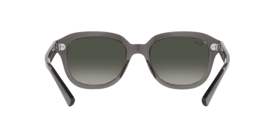 Ray-Ban Erik Sunglasses RB4398 667571