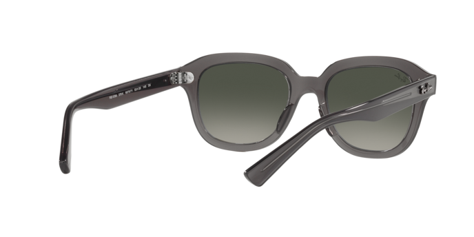 Ray-Ban Erik Sunglasses RB4398 667571