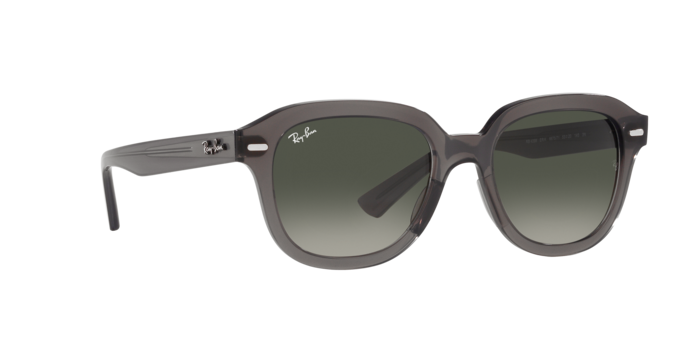 Ray-Ban Erik Sunglasses RB4398 667571