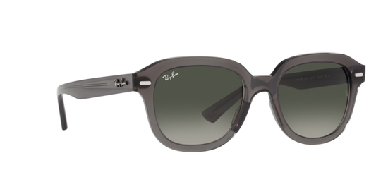 Ray-Ban Erik Sunglasses RB4398 667571