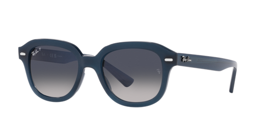 Ray-Ban Erik Sunglasses RB4398 667678