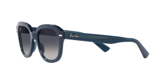 Ray-Ban Erik Sunglasses RB4398 667678