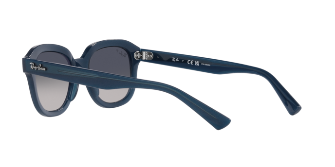 Ray-Ban Erik Sunglasses RB4398 667678