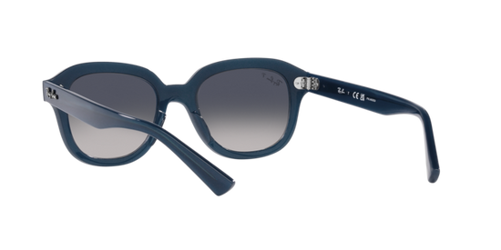 Ray-Ban Erik Sunglasses RB4398 667678