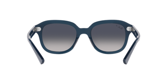 Ray-Ban Erik Sunglasses RB4398 667678