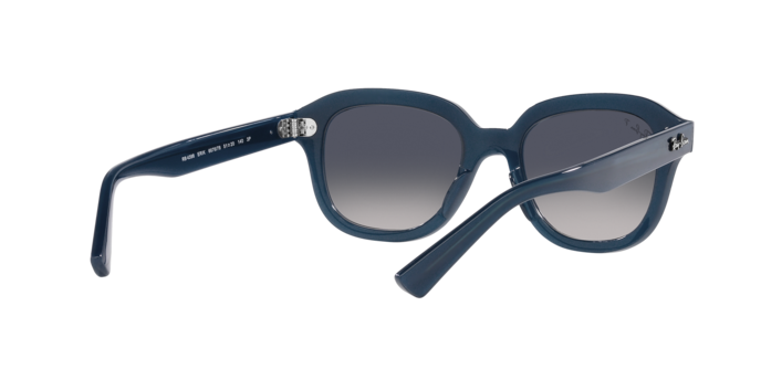 Ray-Ban Erik Sunglasses RB4398 667678