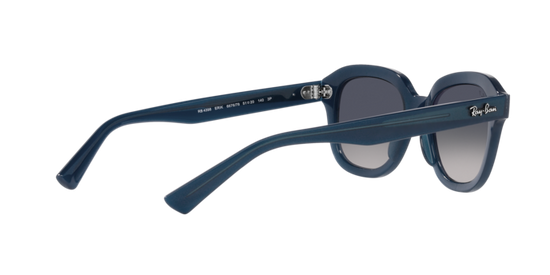 Ray-Ban Erik Sunglasses RB4398 667678