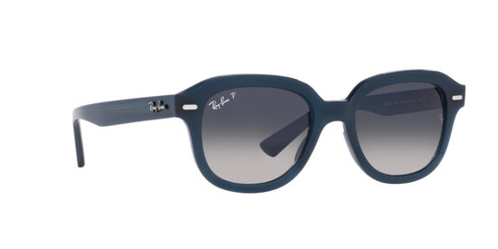 Ray-Ban Erik Sunglasses RB4398 667678