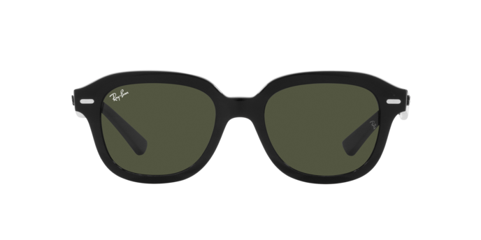 Ray-Ban Erik Sunglasses RB4398 901/31